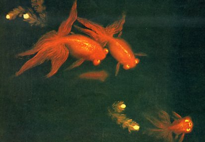 10   福州脫胎漆畫(huà).jpg