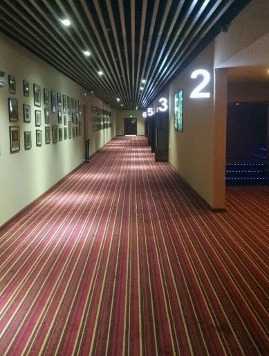 11    電影院過道木地板.jpg